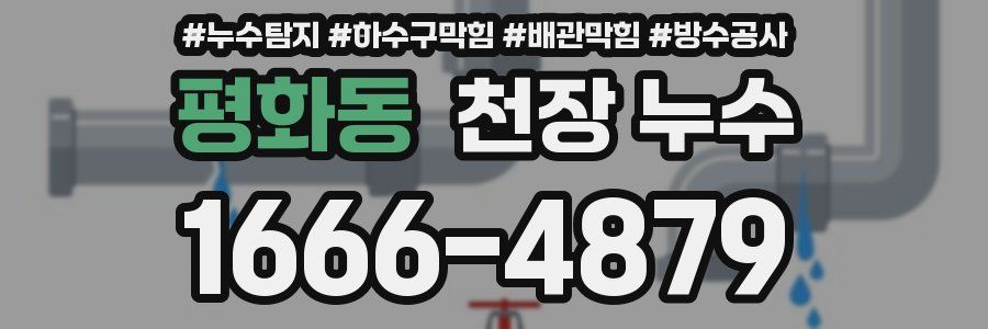 평화동 천장 누수