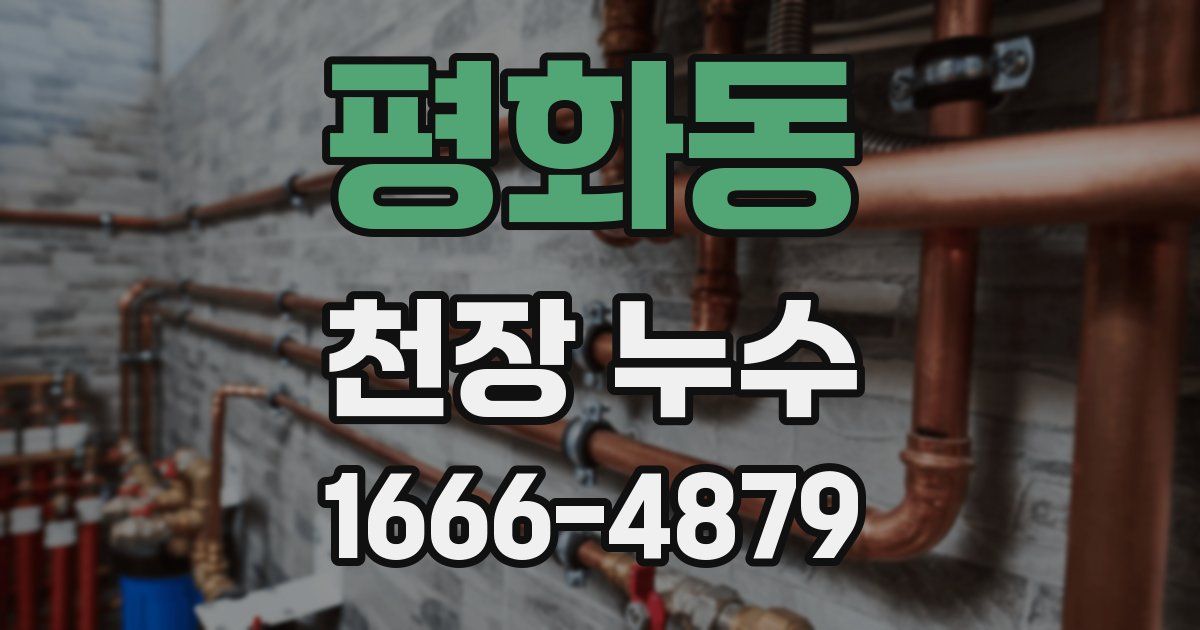 평화동 천장 누수