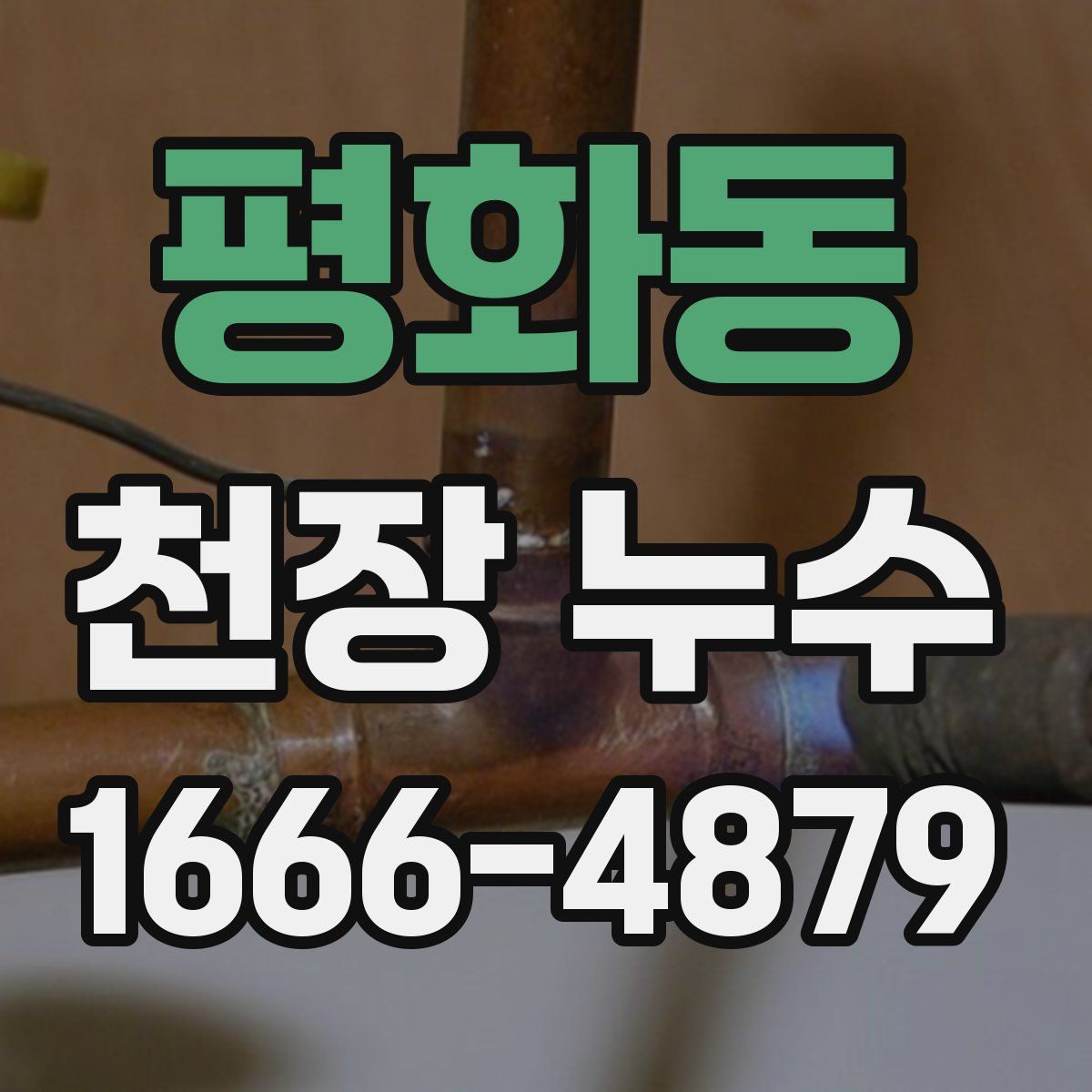 평화동 천장 누수