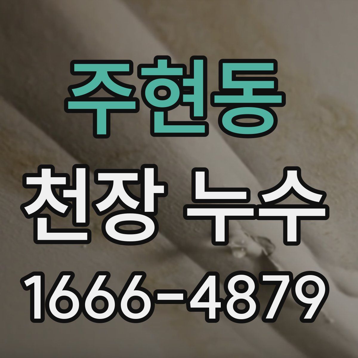 주현동 천장 누수