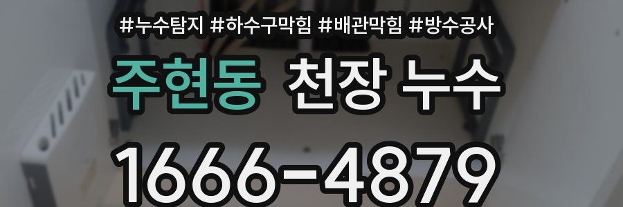 주현동 천장 누수