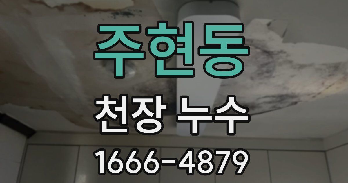 주현동 천장 누수