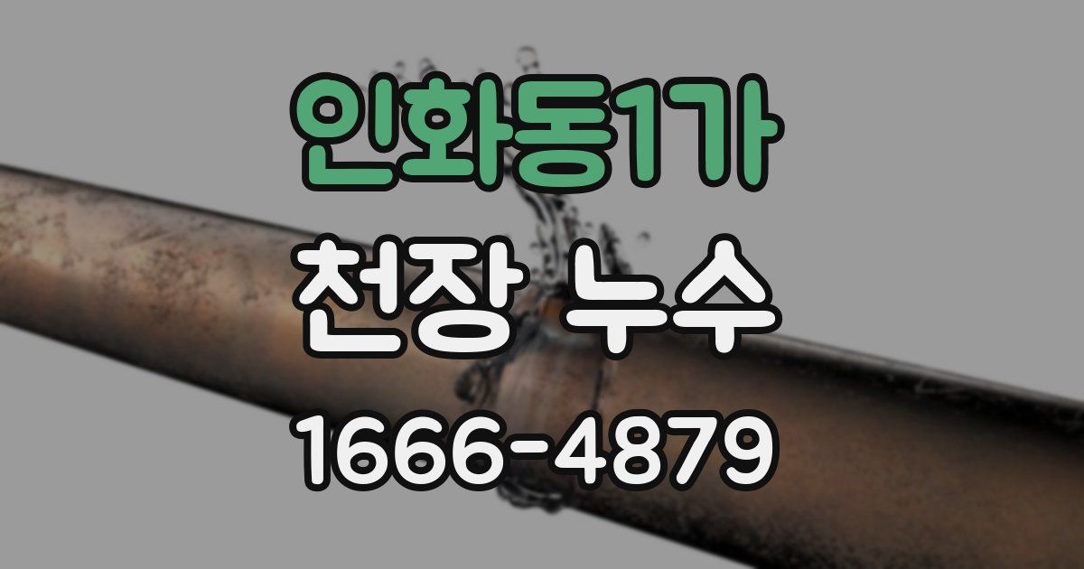 인화동1가 천장 누수