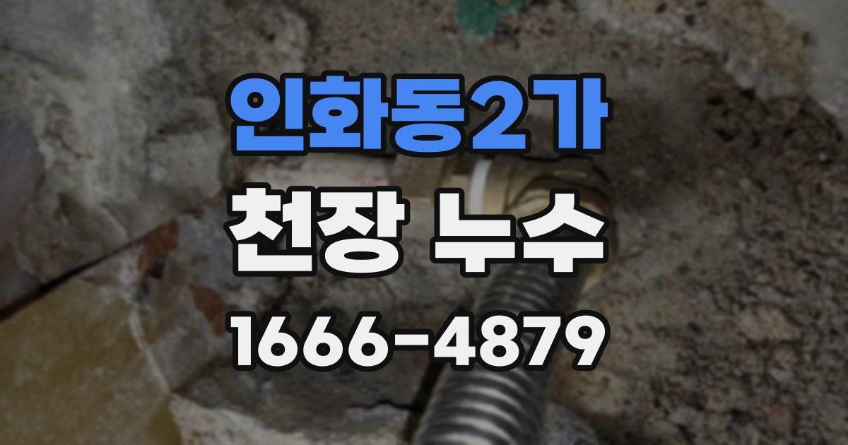 인화동2가 천장 누수