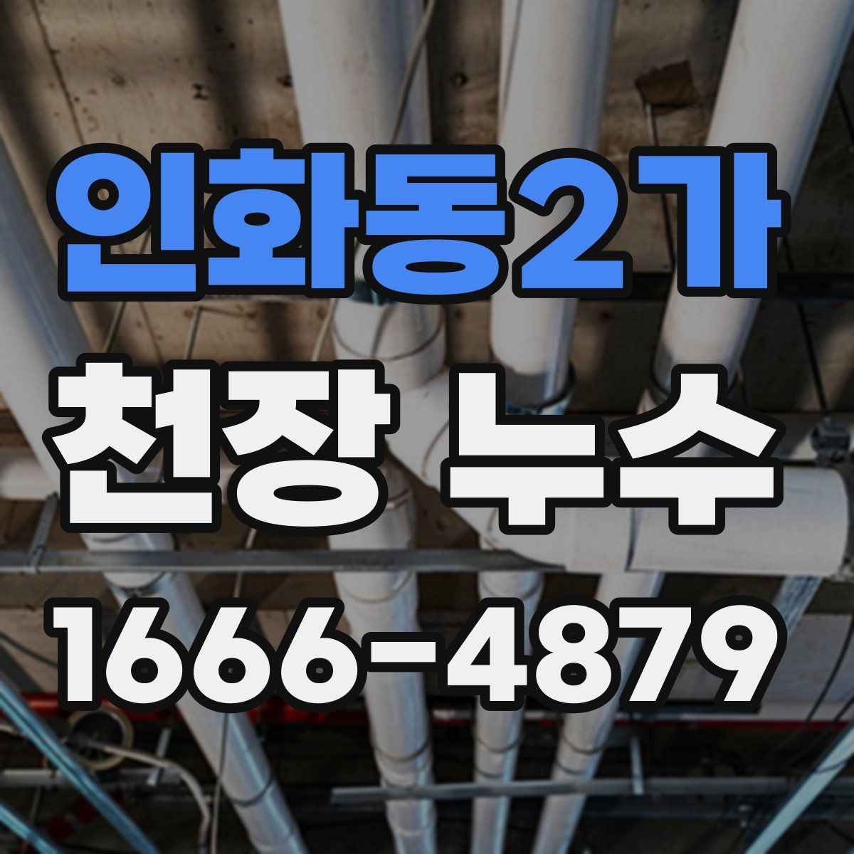 인화동2가 천장 누수