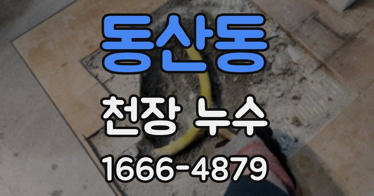 동산동 천장 누수