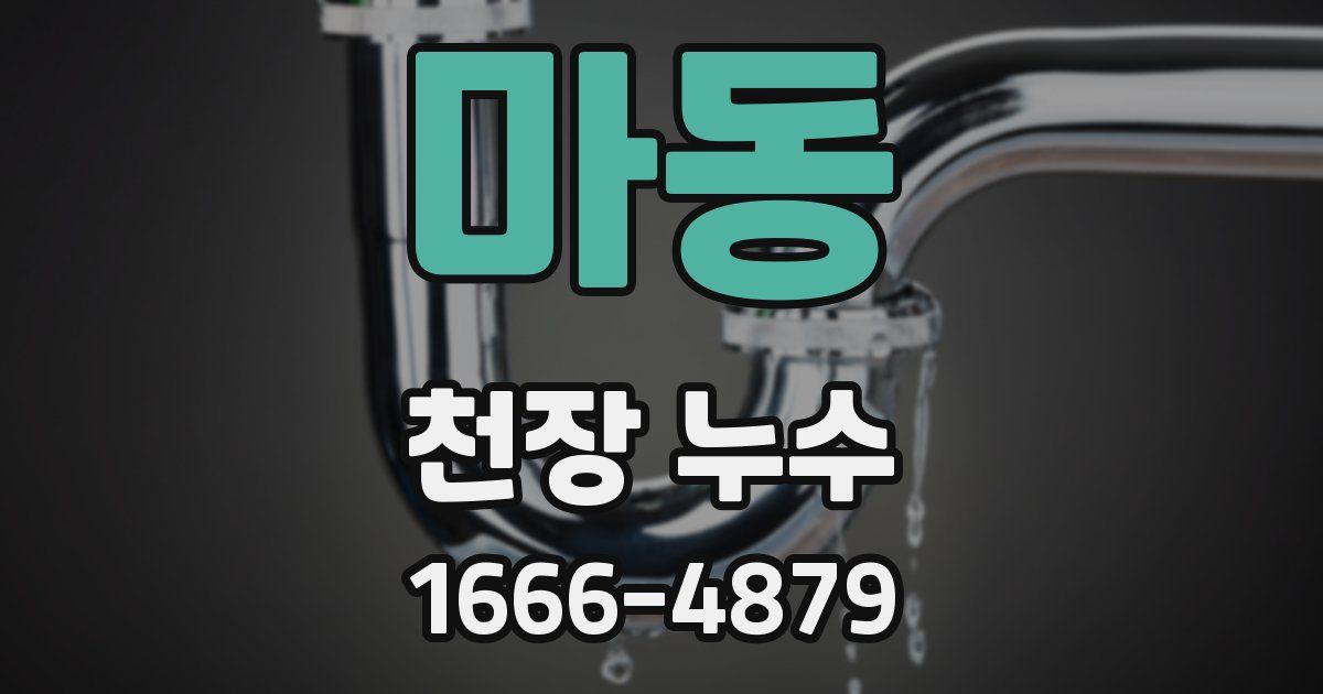 마동 천장 누수