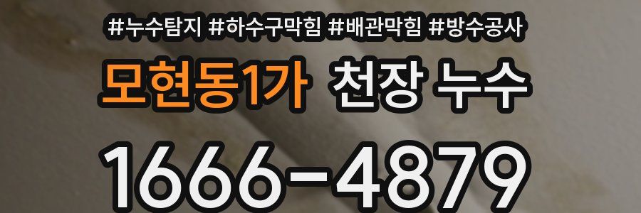 모현동1가 천장 누수