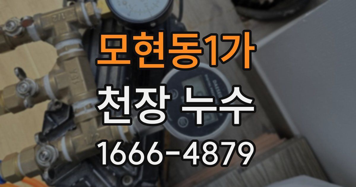 모현동1가 천장 누수