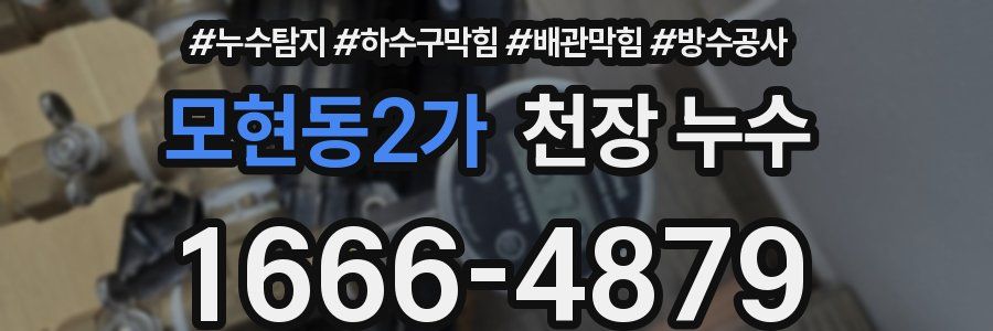 모현동2가 천장 누수