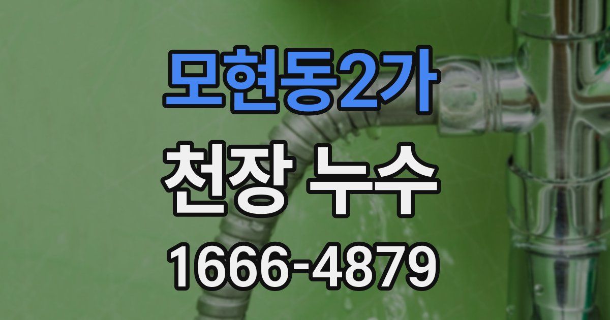 모현동2가 천장 누수