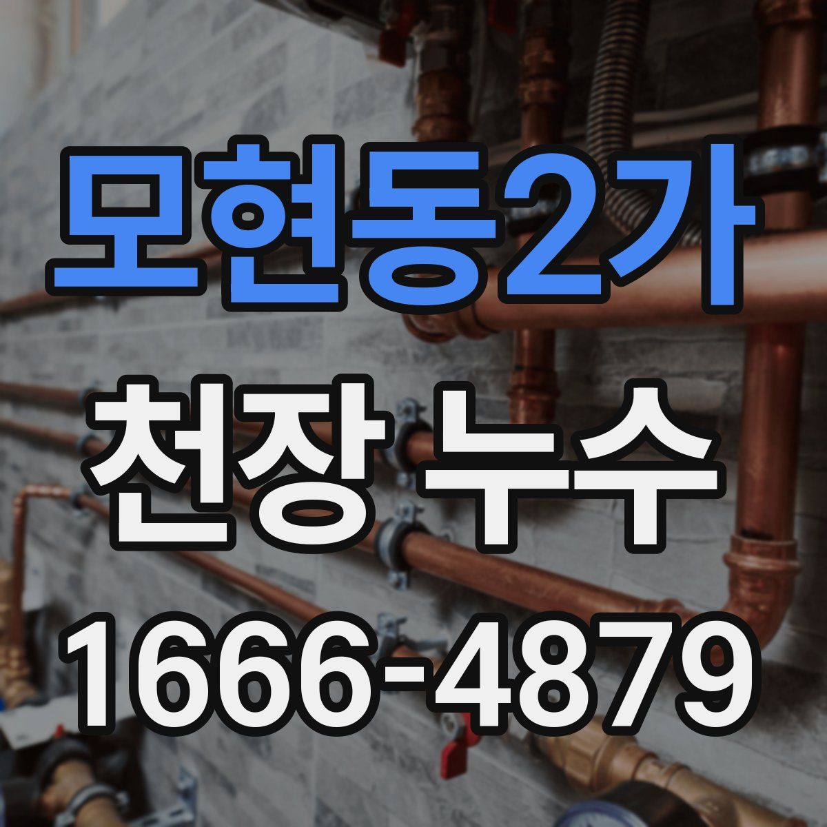 모현동2가 천장 누수