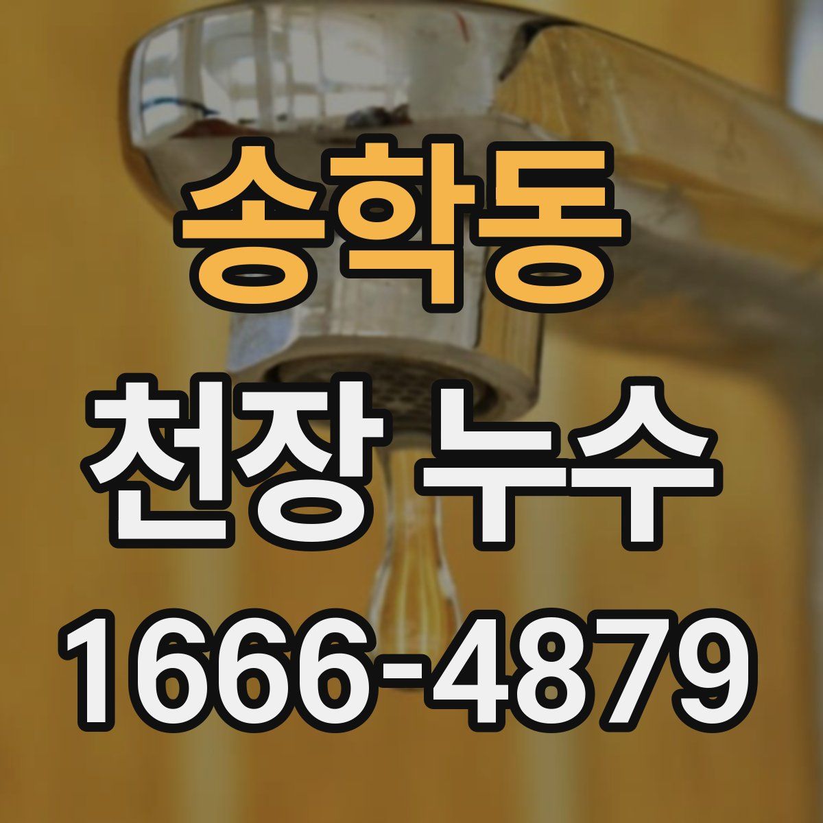 송학동 천장 누수