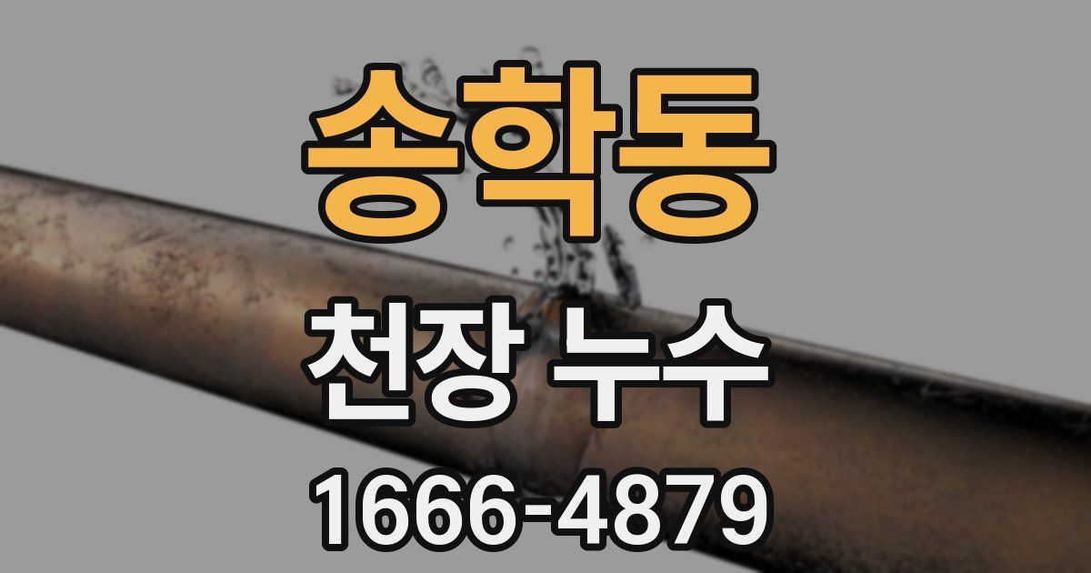 송학동 천장 누수