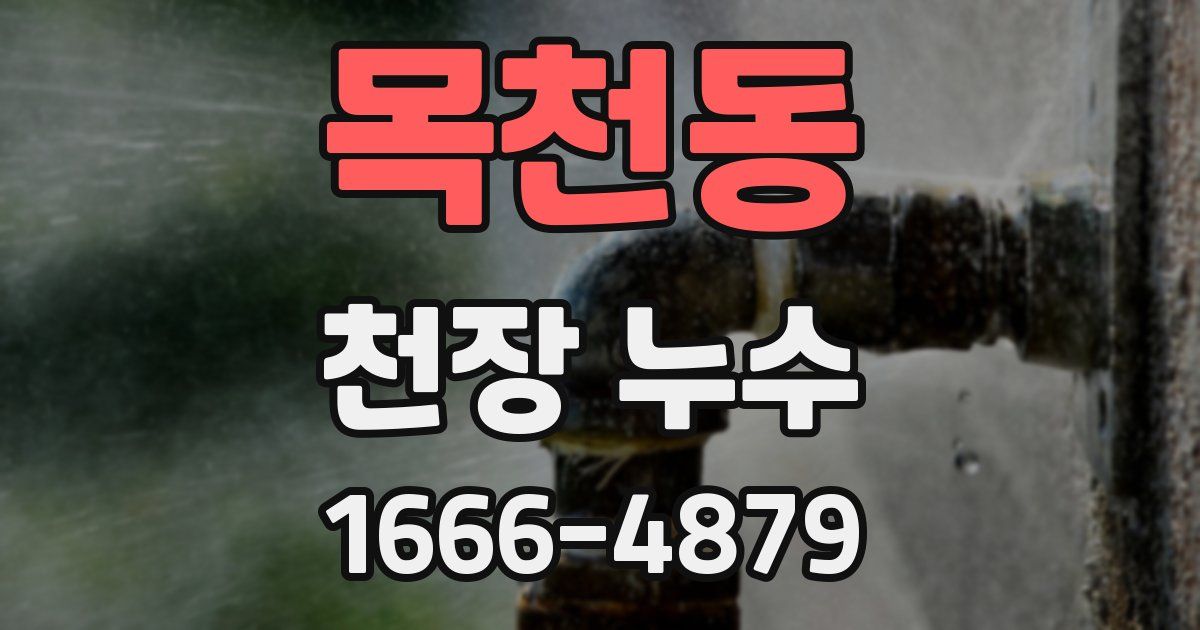 목천동 천장 누수