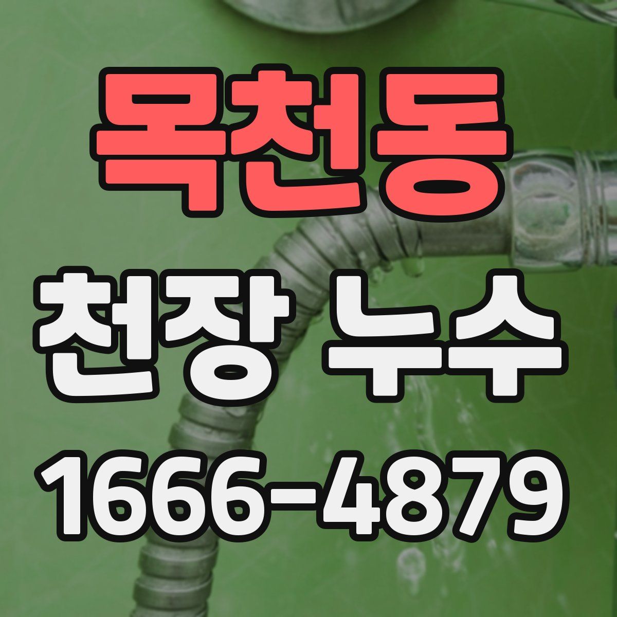 목천동 천장 누수