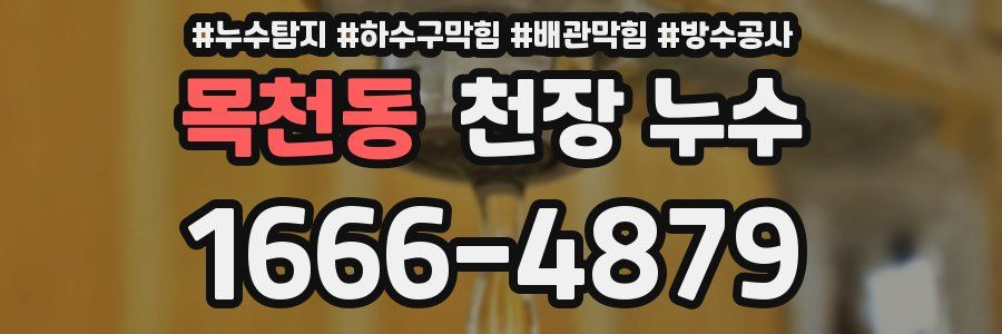 목천동 천장 누수