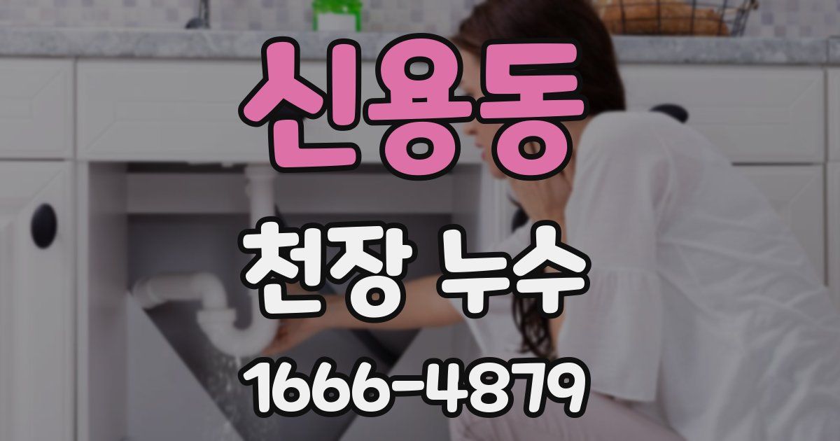 신용동 천장 누수