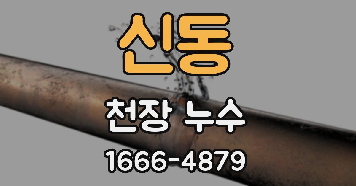 신동 천장 누수