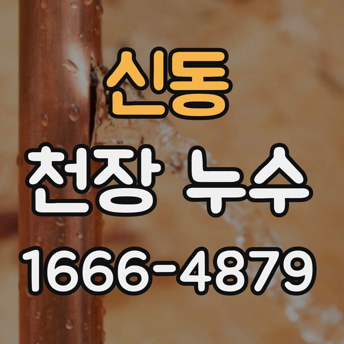 신동 천장 누수