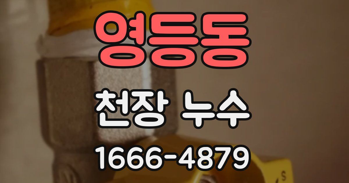 영등동 천장 누수