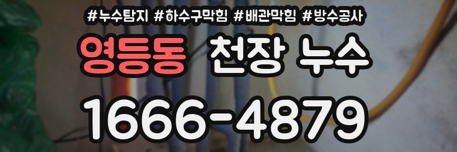 영등동 천장 누수