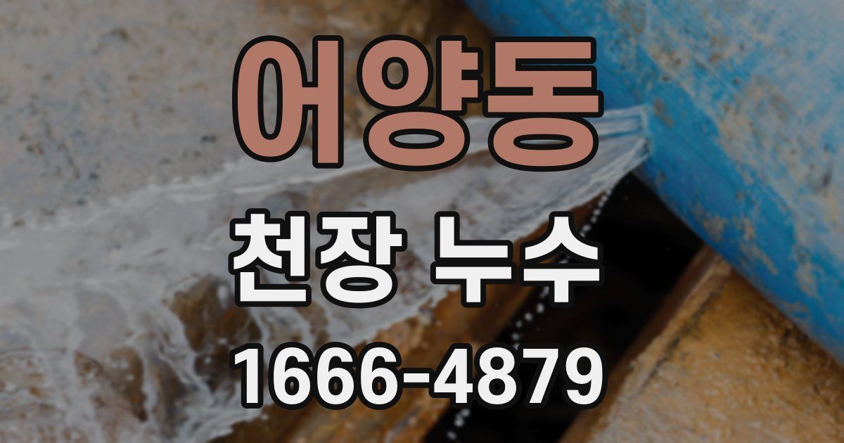 어양동 천장 누수