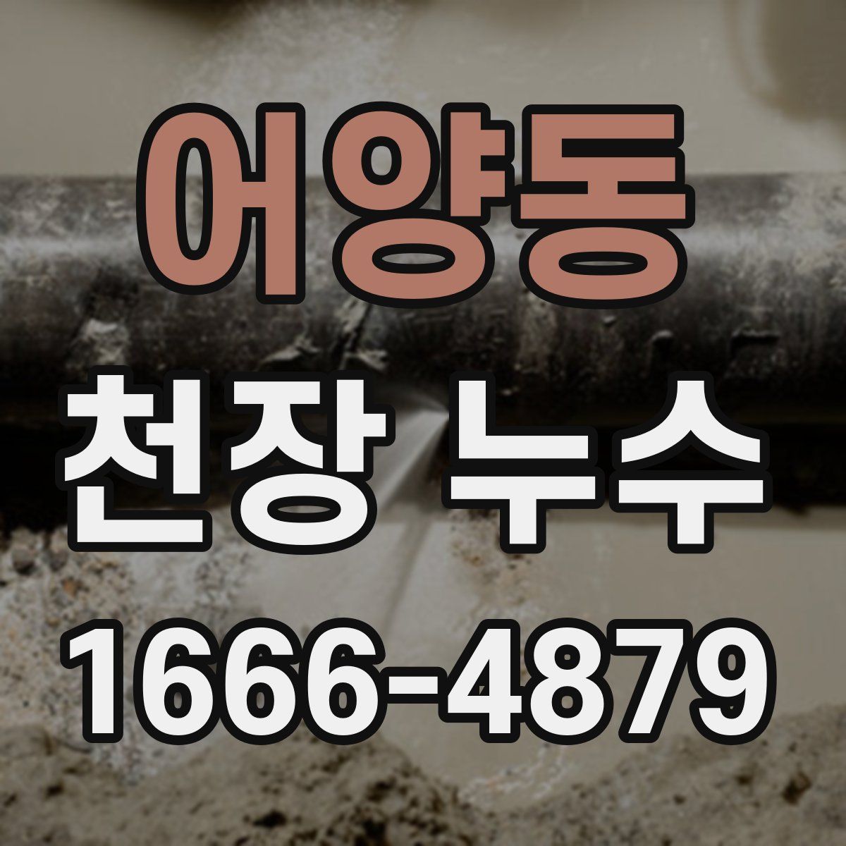 어양동 천장 누수