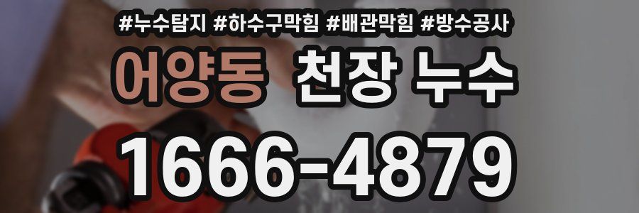 어양동 천장 누수