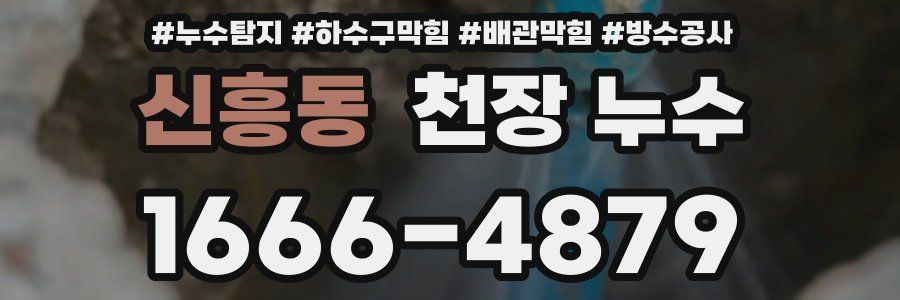 신흥동 천장 누수