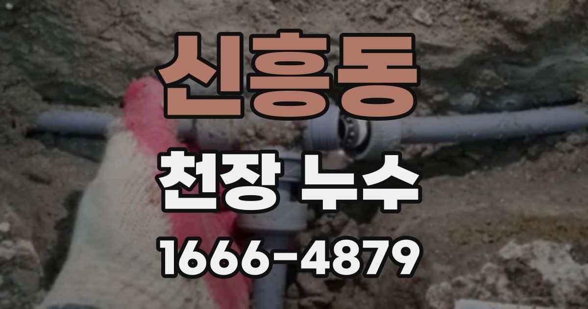 신흥동 천장 누수