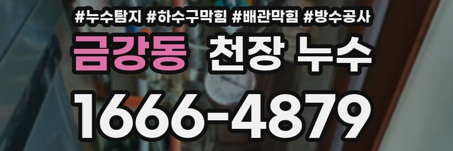 금강동 천장 누수