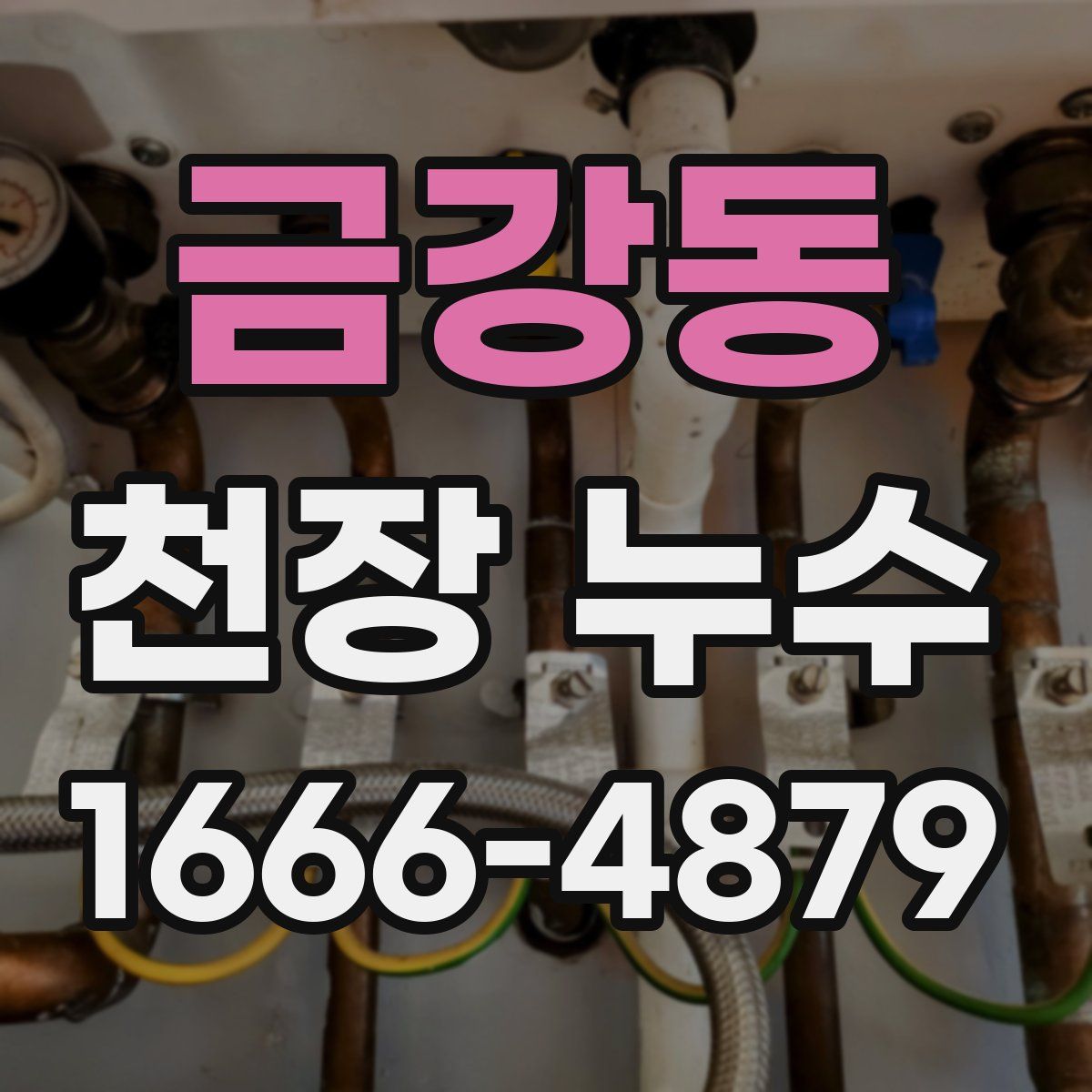 금강동 천장 누수
