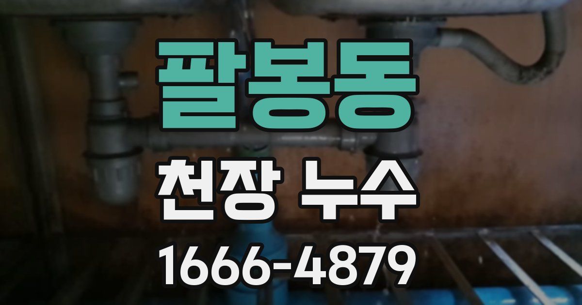 팔봉동 천장 누수
