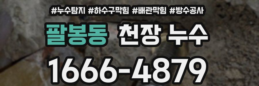 팔봉동 천장 누수