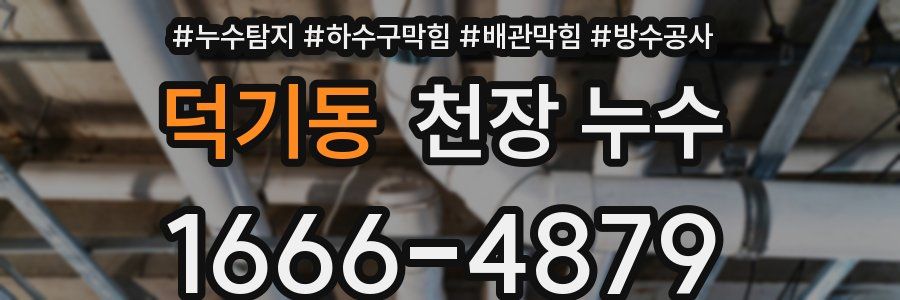 덕기동 천장 누수