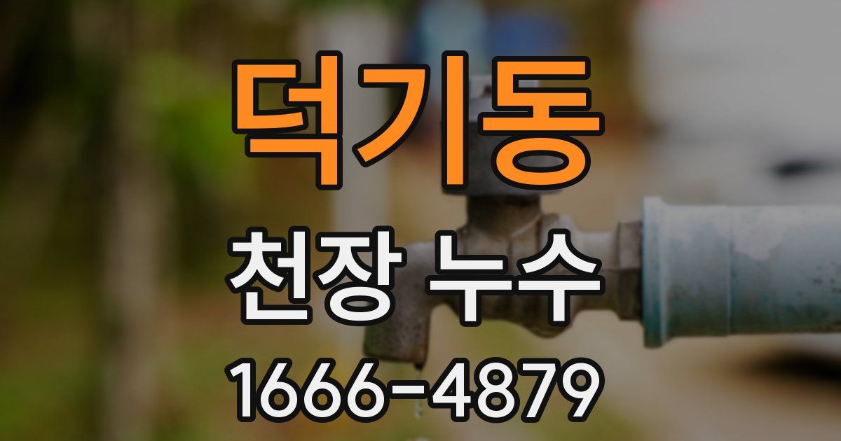 덕기동 천장 누수