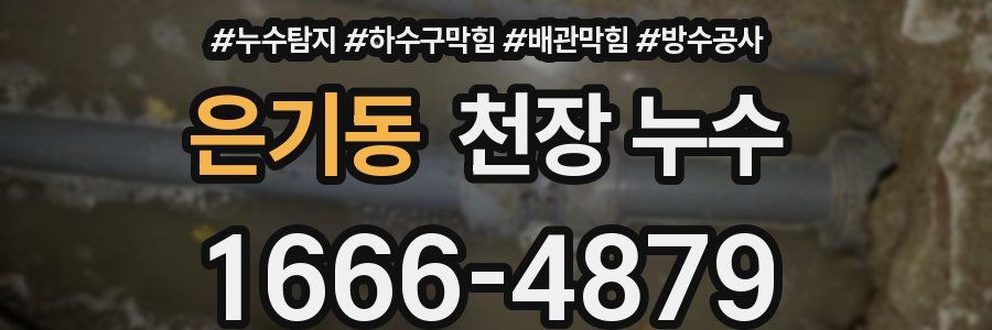 은기동 천장 누수