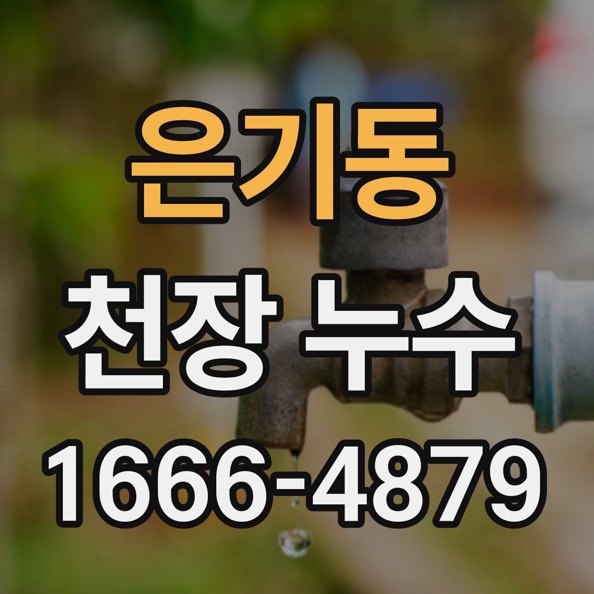 은기동 천장 누수