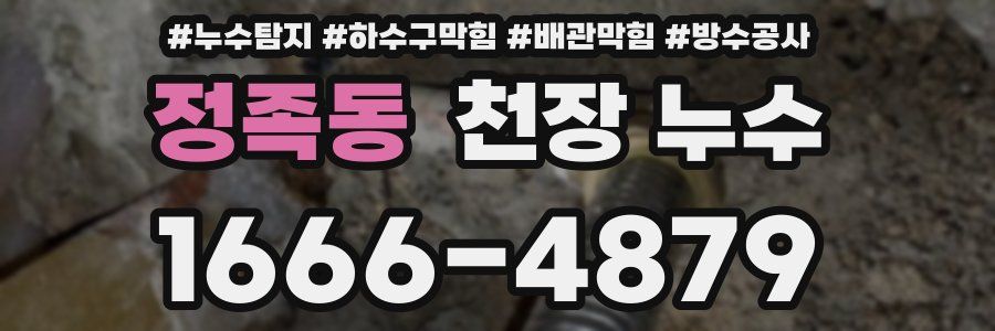정족동 천장 누수