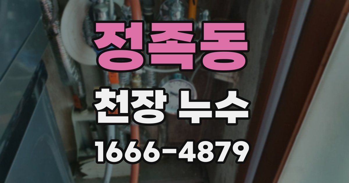 정족동 천장 누수