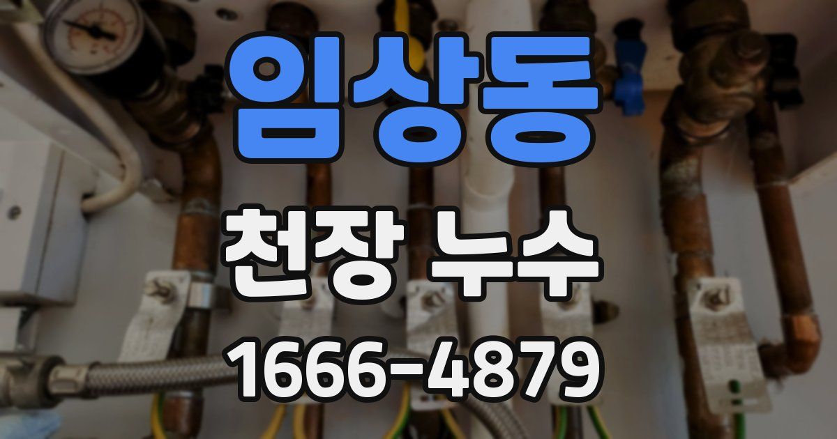 임상동 천장 누수