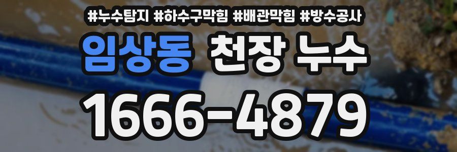 임상동 천장 누수