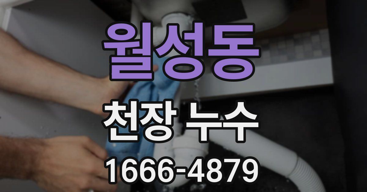 월성동 천장 누수