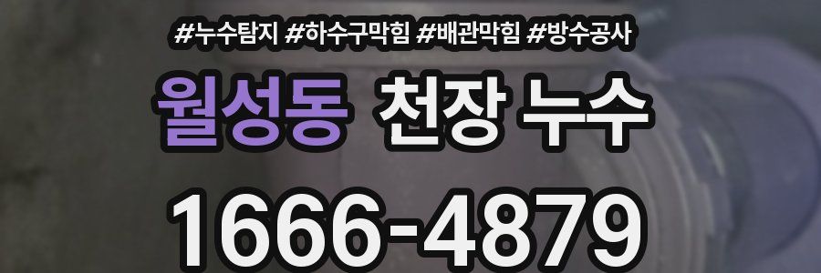 월성동 천장 누수
