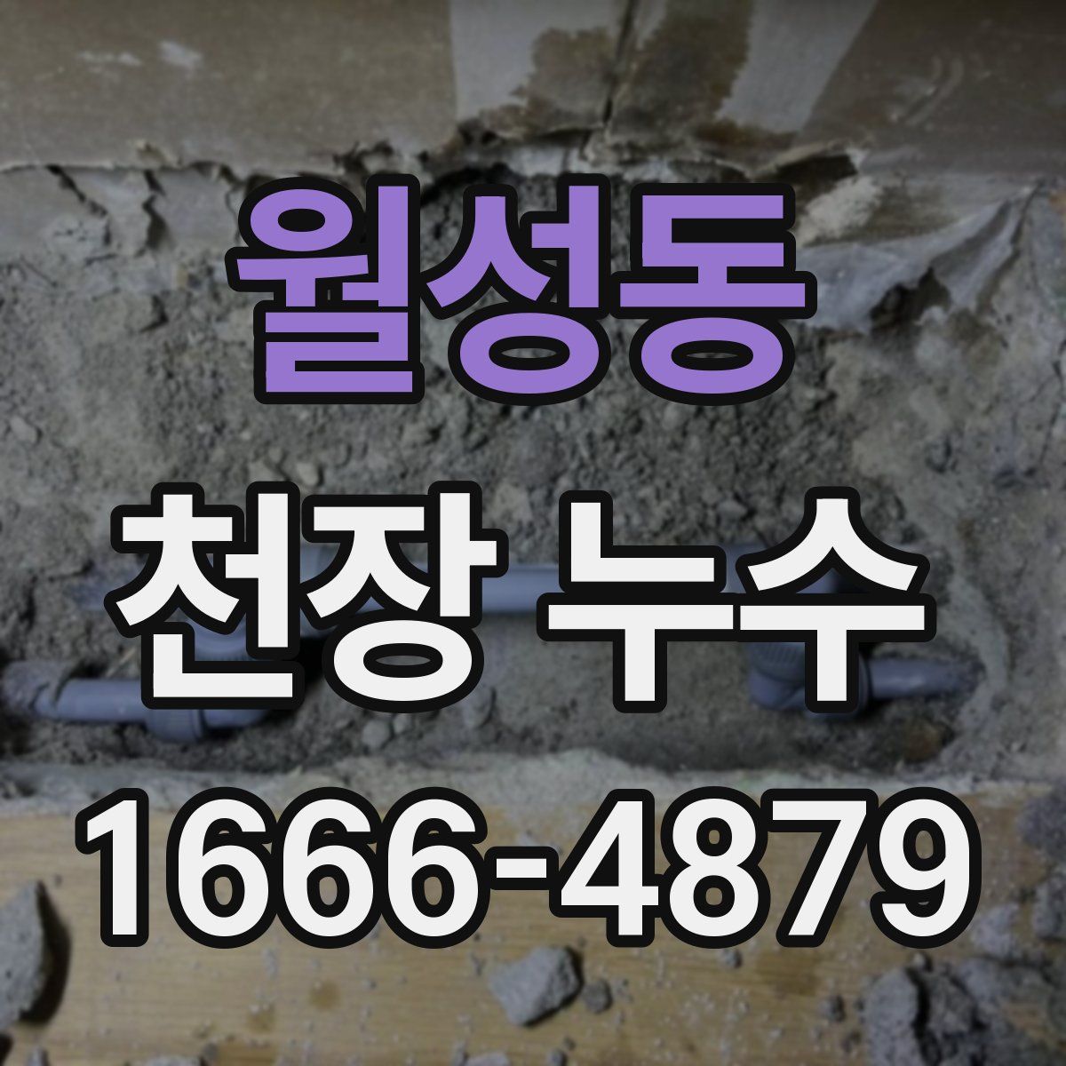 월성동 천장 누수
