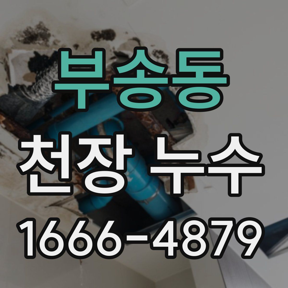 부송동 천장 누수