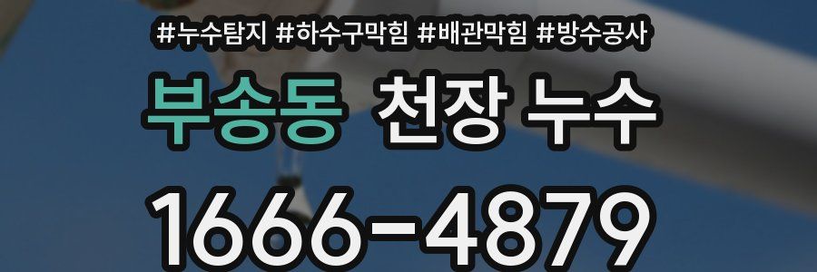 부송동 천장 누수