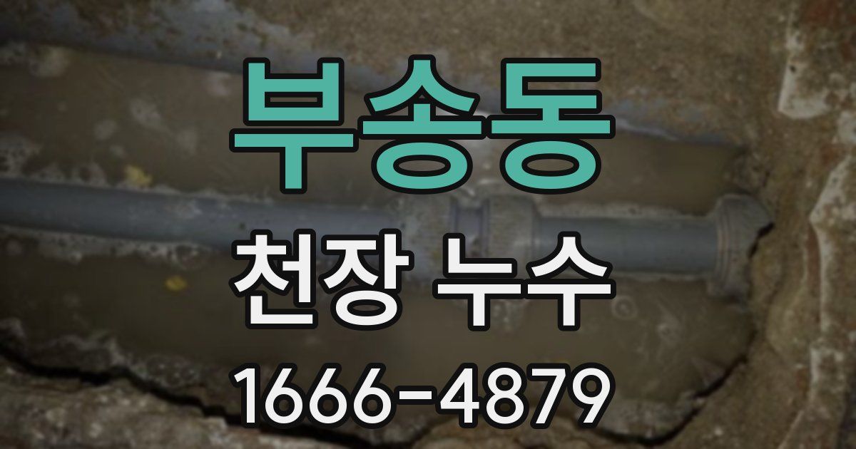 부송동 천장 누수