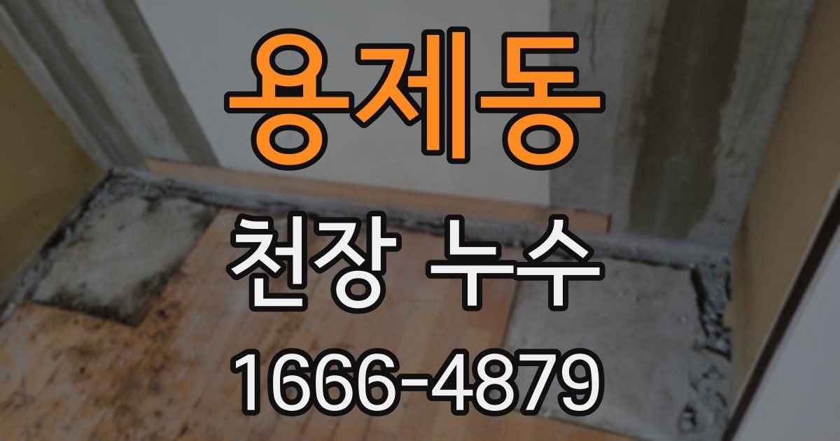 용제동 천장 누수